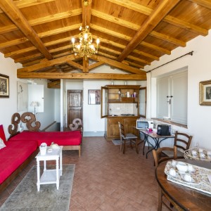 Ingrandisci foto
