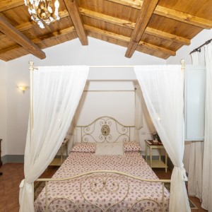 Ingrandisci foto