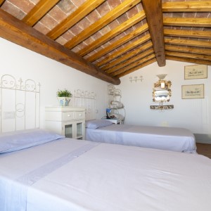 Ingrandisci foto