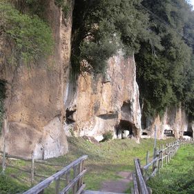Ingrandisci foto