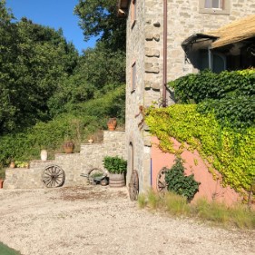 Ingrandisci foto