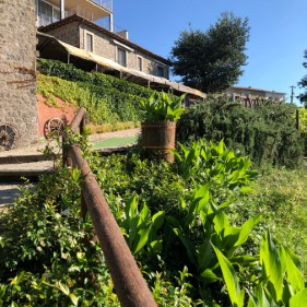 Ingrandisci foto