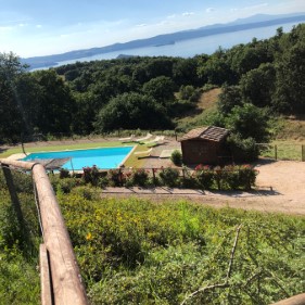 Ingrandisci foto