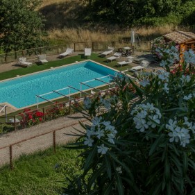 Ingrandisci foto