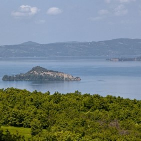 Ingrandisci foto